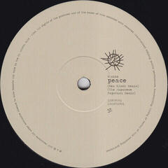 Δίσκος LP Depeche Mode - Sounds Of The Universe / The 12" Singles (180g) (Limited Edition) (Box Set) (7 LP) - 7