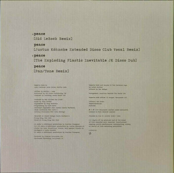 Schallplatte Depeche Mode - Sounds Of The Universe / The 12" Singles (180g) (Limited Edition) (Box Set) (7 LP) - 15