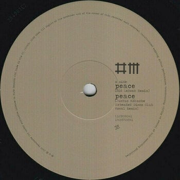 Disco de vinil Depeche Mode - Sounds Of The Universe / The 12" Singles (180g) (Limited Edition) (Box Set) (7 LP) - 16