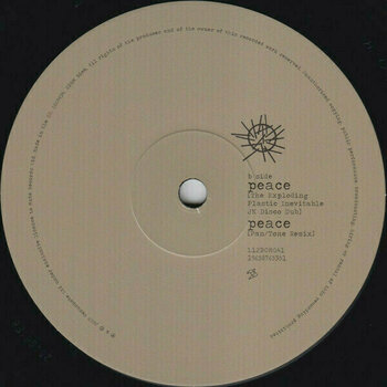 Disque vinyle Depeche Mode - Sounds Of The Universe / The 12" Singles (180g) (Limited Edition) (Box Set) (7 LP) - 17