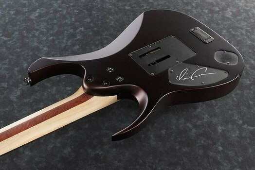 Elektromos gitár Ibanez DCM100 - 4