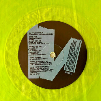Disque vinyle Ian Dury & The Blockheads - Do It Yourself (140g) (LP) - 3