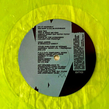 Vinyylilevy Ian Dury & The Blockheads - Do It Yourself (140g) (LP) - 4