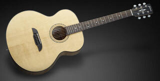 Jumbo Akustikgitarre Framus FJ 14 SMV VNT Vintage Natural Jumbo Akustikgitarre - 4