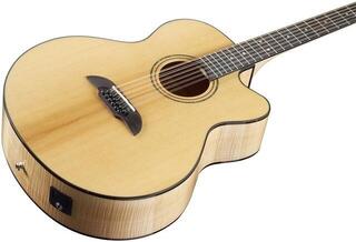 12-saitige Elektro-Akustikgitarre Framus FJ-14-SMV Vintage Natural 12-saitige Elektro-Akustikgitarre - 4