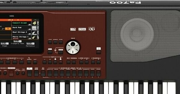 Професионален синтезатор Korg Pa700 - 11