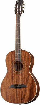 Electro-acoustic guitar Framus FP 14 M NS E - 6