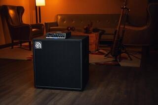 Cabinet de bas Ampeg Venture VB-115 Cabinet de bas - 4