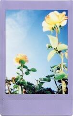 Fotopapir Fujifilm Instax Mini Soft Lavender Soft Lavender 10 pcs Fotopapir - 3