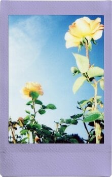 Papier fotograficzny Fujifilm Instax Mini Soft Lavender Papier fotograficzny - 4