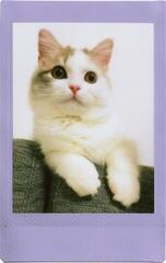 Fotopapir Fujifilm Instax Mini Soft Lavender Soft Lavender 10 pcs Fotopapir - 5