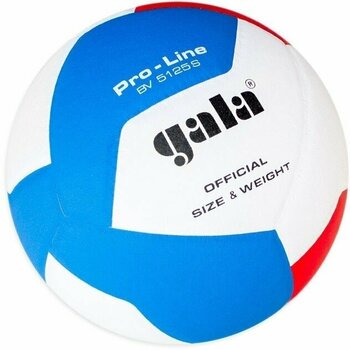 Indoor Volleyball Gala Pro Line 12 Indoor Volleyball - 2