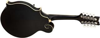 Mandoline Ortega RMFE40SBK Satin Black Mandoline - 1