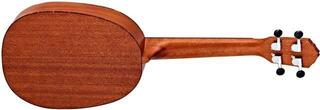 Concert Ukulele Ortega RUPA5MM Natural Concert Ukulele - 1