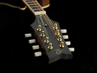 Mandoliini Ortega RMFE100AVO Antique Violin Oil Mandoliini - 1