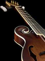 Mandoliini Ortega RMFE100AVO Antique Violin Oil Mandoliini - 4