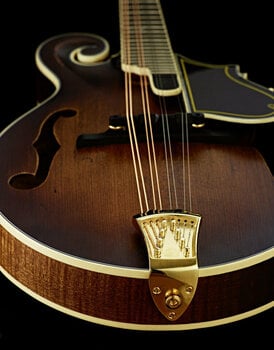 Mandoline Ortega RMFE100AVO Antique Violin Oil - 6