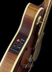 Mandoliini Ortega RMFE90TS Tobacco Sunburst Mandoliini - 2