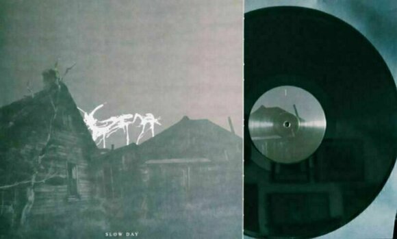 Vinyl Record Gena - Slow Day (LP) - 2