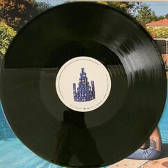 LP deska Post Malone - Austin (Green Coloured) (2 LP) - 5