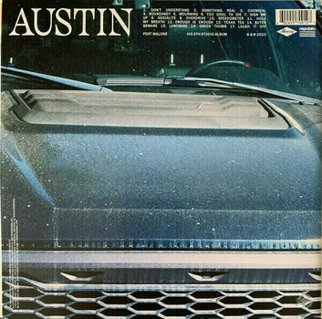 Vinyl Record Post Malone - Austin (Green Coloured) (2 LP) - 12