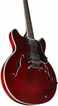 Halbresonanz-Gitarre Alvarez AAT33/BGE Hollow Body Double Cutaway - 2