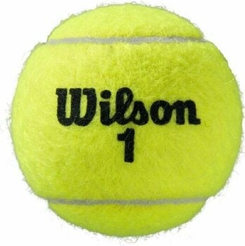 Pelotas de tenis Wilson Roland Garros All Court Tennis Ball 8 Pelotas de tenis - 3