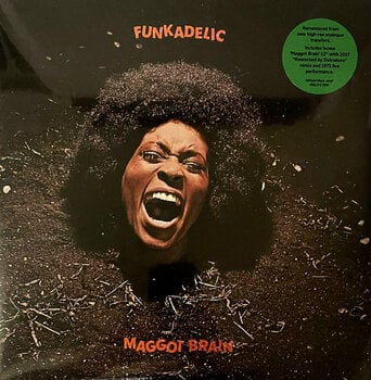 Vinyl Record Funkadelic - Maggot Brain (Reissue) (Remastered) (2 LP) - 2