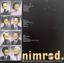 Vinylplade Green Day - Nimrod. XXV (Silver Coloured) (Limited Edition) (5 LP) - 3