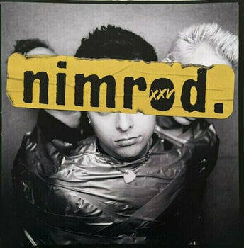 Vinyl Record Green Day -Nimrod. XXV (Silver Coloured) (Limited Edition) (5 LP) - 19