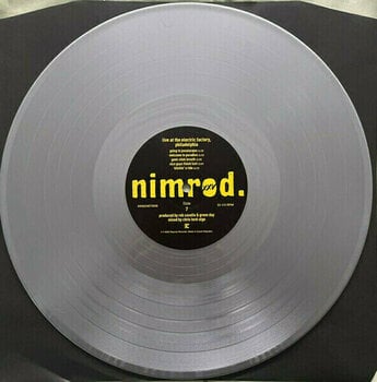Vinyl Record Green Day -Nimrod. XXV (Silver Coloured) (Limited Edition) (5 LP) - 15