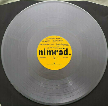 Vinyl Record Green Day -Nimrod. XXV (Silver Coloured) (Limited Edition) (5 LP) - 8