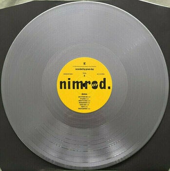 Disque vinyle Green Day -Nimrod. XXV (Silver Coloured) (Limited Edition) (5 LP) - 12