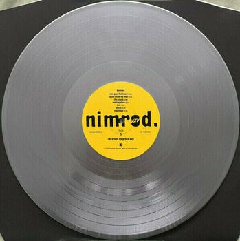 Disque vinyle Green Day -Nimrod. XXV (Silver Coloured) (Limited Edition) (5 LP) - 11