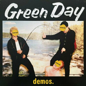 Vinyl Record Green Day -Nimrod. XXV (Silver Coloured) (Limited Edition) (5 LP) - 9
