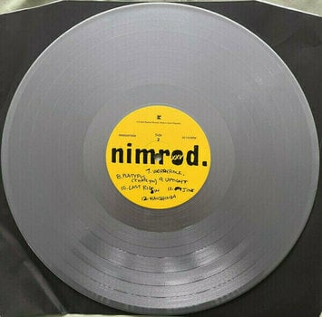Hanglemez Green Day -Nimrod. XXV (Silver Coloured) (Limited Edition) (5 LP) - 7