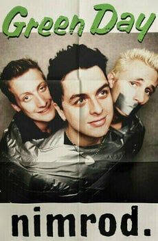 Vinyylilevy Green Day -Nimrod. XXV (Silver Coloured) (Limited Edition) (5 LP) - 21