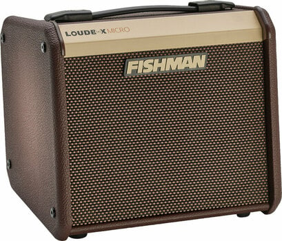 Combo for Acoustic-electric Guitar Fishman Loudbox Micro - 2