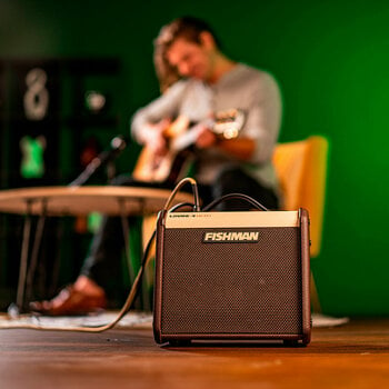 Combo for Acoustic-electric Guitar Fishman Loudbox Micro - 8