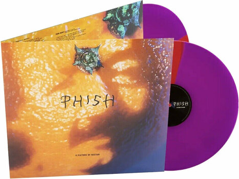 Vinyl Record Phish - A Picture of Nectar (Grape Apple Pie Coloured) (2LP) - 3