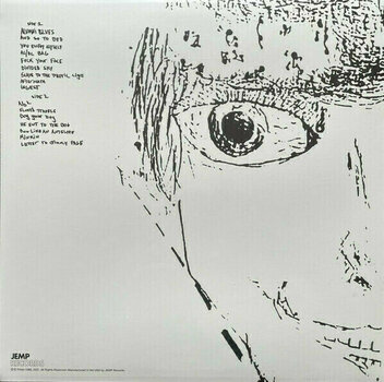Vinyl Record Phish - White Tape (Silver with White Splatter Coloured) (LP) - 5
