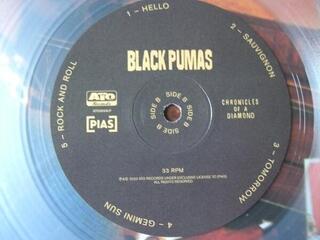 Vinyl Record Black Pumas - Chronicles Of A Diamond (Clear Coloured) (LP) - 2