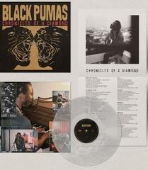 Vinyl Record Black Pumas - Chronicles Of A Diamond (Clear Coloured) (LP) - 4