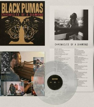 Vinyl Record Black Pumas - Chronicles Of A Diamond (Clear Coloured) (LP) - 5