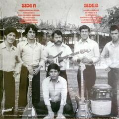 Schallplatte Los Darlings De Huanuco - Singles From 1970-1980 (LP) - 1