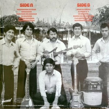 Vinyl Record Los Darlings De Huanuco - Singles From 1970-1980 (LP) - 2