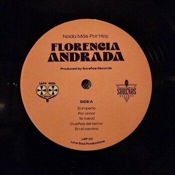 Vinyl Record Florecia Andrada - Nada Mas Por Hoy (LP) - 2