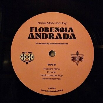 Vinyl Record Florecia Andrada - Nada Mas Por Hoy (LP) - 3