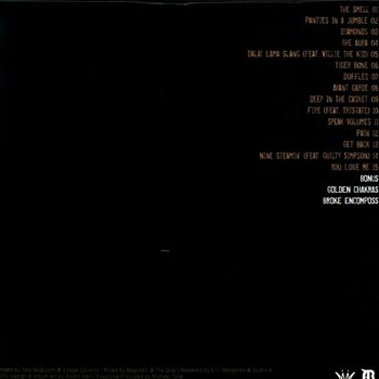 Schallplatte Apollo Brown & Planet Asia - Anchovies (Repress) (180g) (LP) - 2