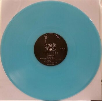 Vinyl Record MGMT - 11•11•11 (Sea Glass Blue Coloured) (LP) - 2